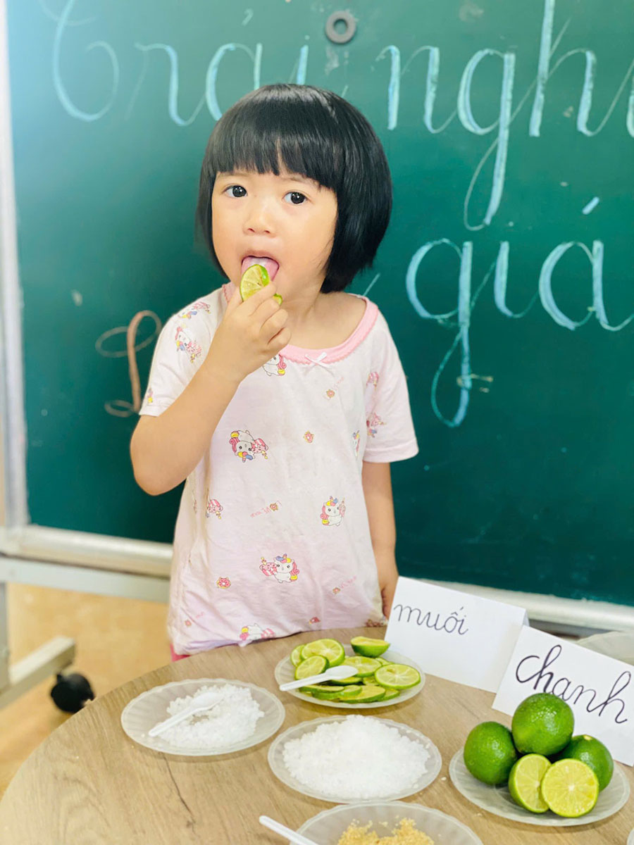 Khám phá vị giác, sự đa dạng của vị