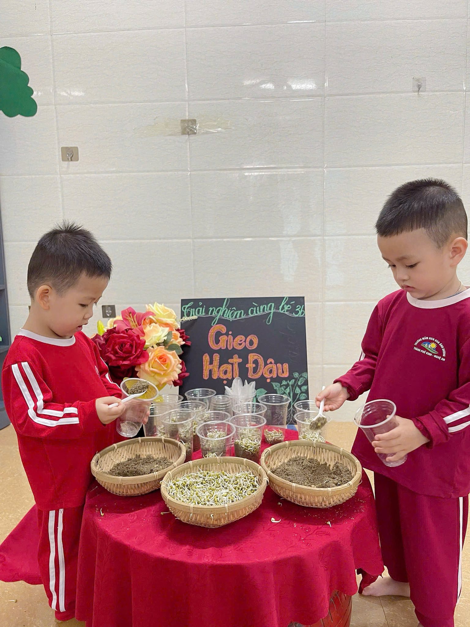 Hoạt Động Trải Nghiệm: Gieo Hạt Đậu