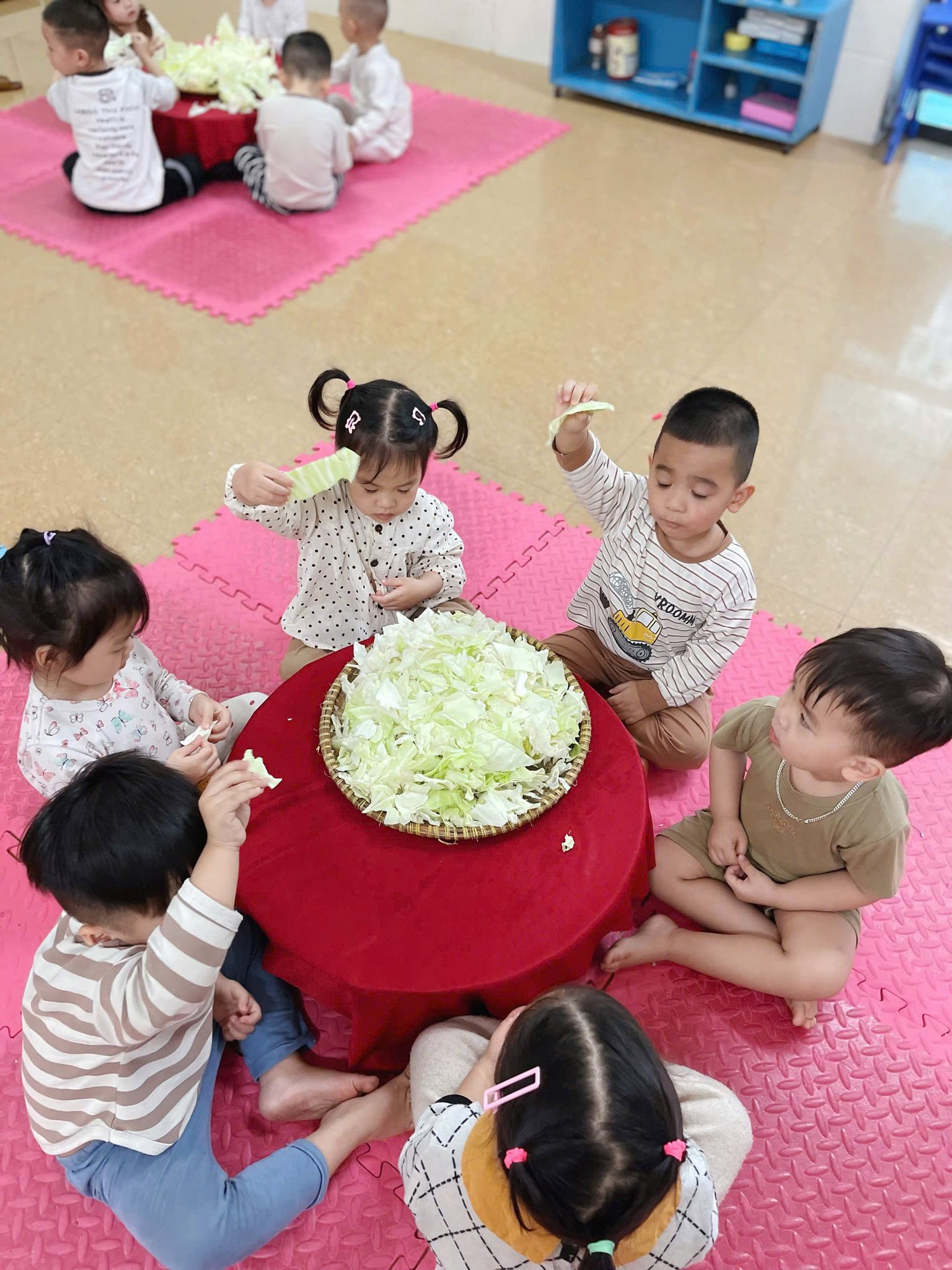 HOẠT ĐỘNG "B&Eacute; TẬP T&Aacute;CH L&Aacute; BẮP CẢI"